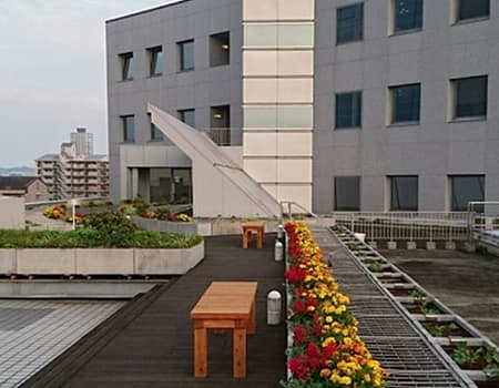 福岡市早良区百道浜のレンタルオフィス「福岡ソフトリサーチパーク」のテラス