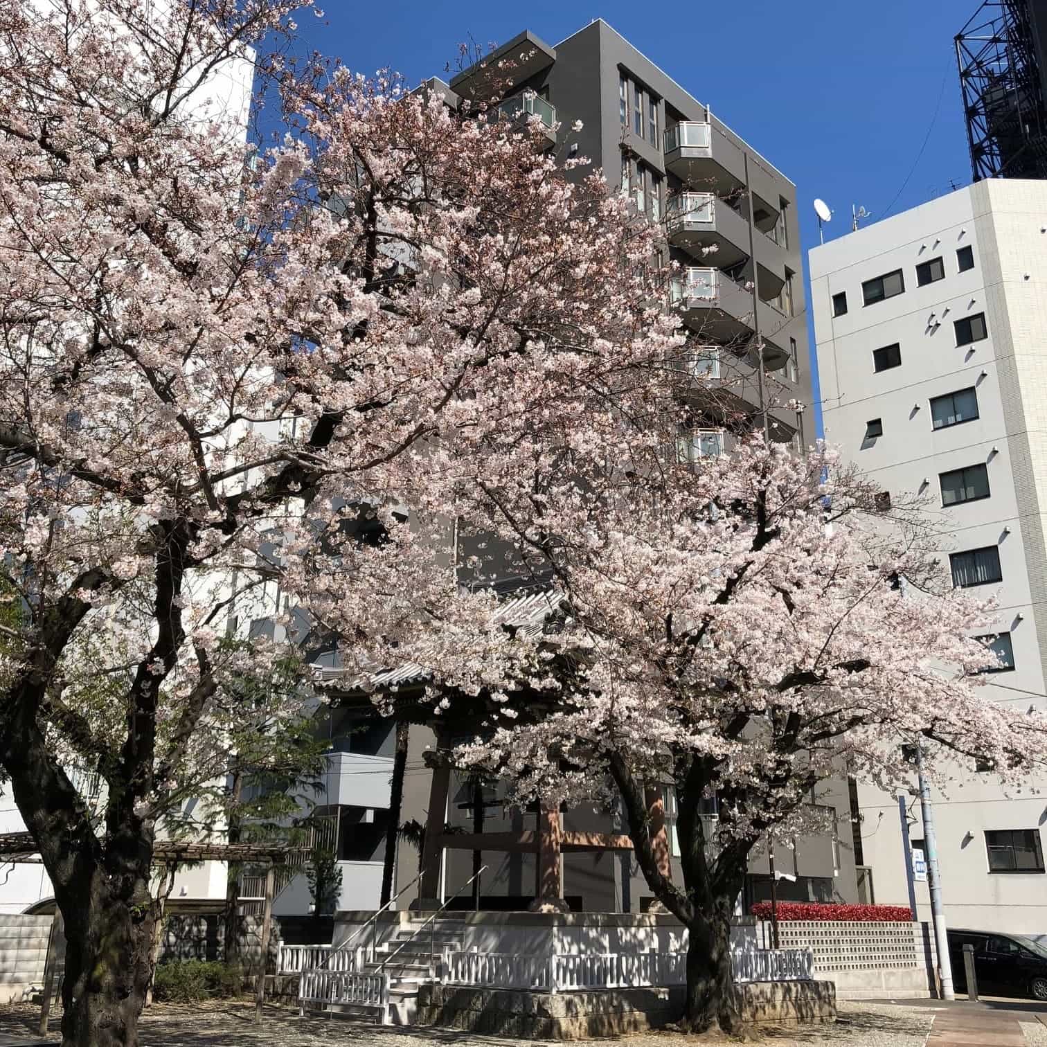 表参道のレンタルオフィス「iKat（アイカット）表参道」の外観